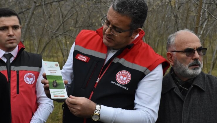 Fındık Üreticileri Bahçe Okulu Eğitimi Projesiyle Verim ve Kaliteyi Artırıyor