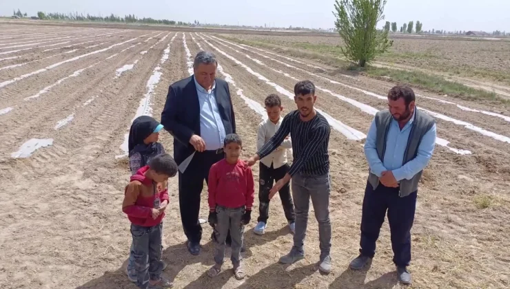 Tarım İşçisi Çocuklarına Sağlıklı Yaşam İmkanı Sağlanmalı